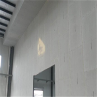 威海宁波ALC板|EPS加气板隔墙与混凝土整浇联接的实验研讨